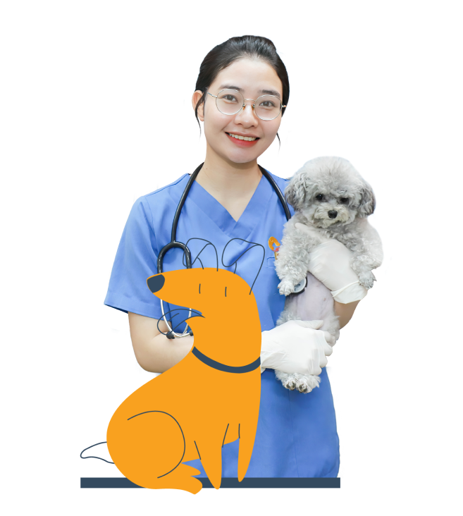 Tầm nhìn, sứ mệnh