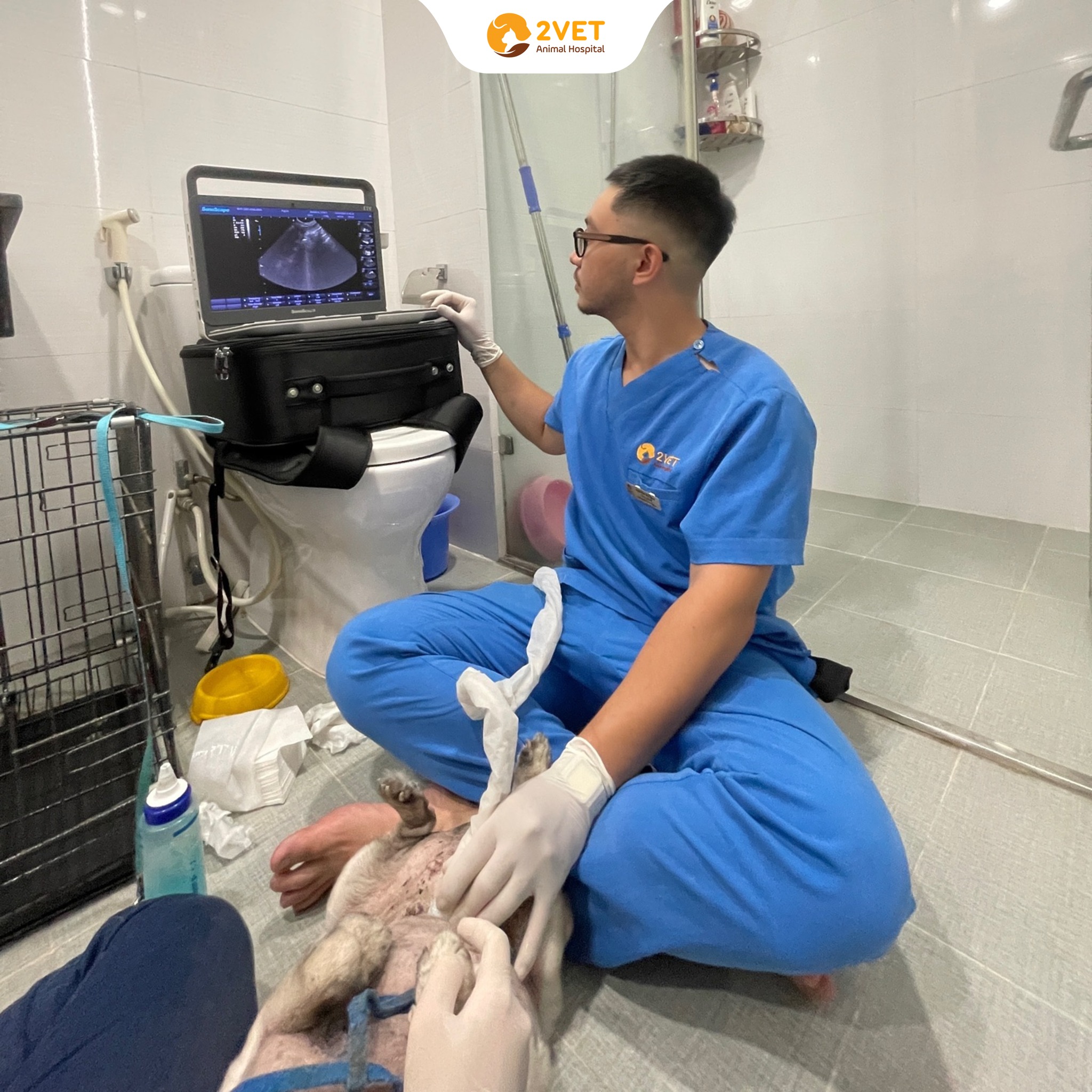 Dịch Vụ Khám Thú Cưng Tại Nhà – Đưa Đón Tận Nơi 24/7