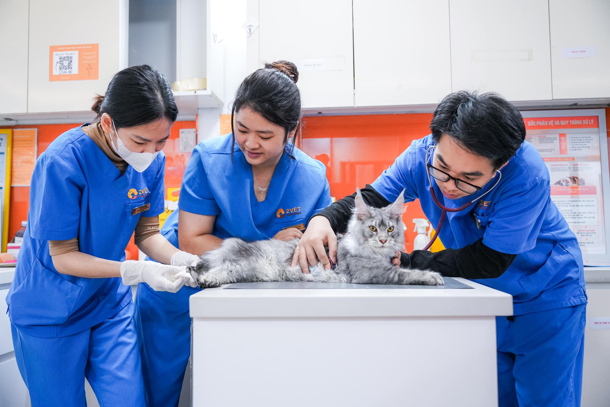 Khám định kỳ kiểm tra các chức năng cơ thể