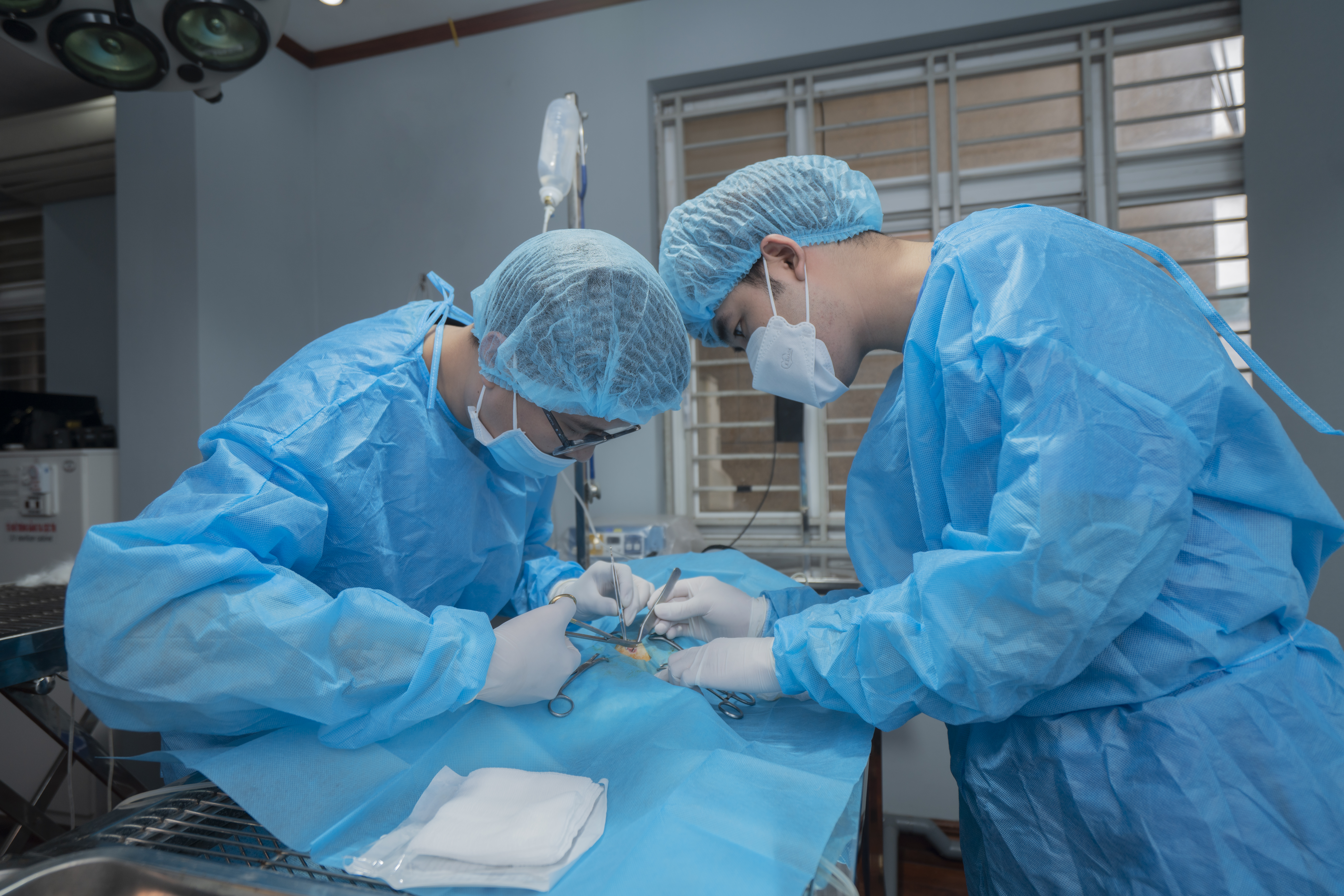 Bệnh suy thận trên chó mèo