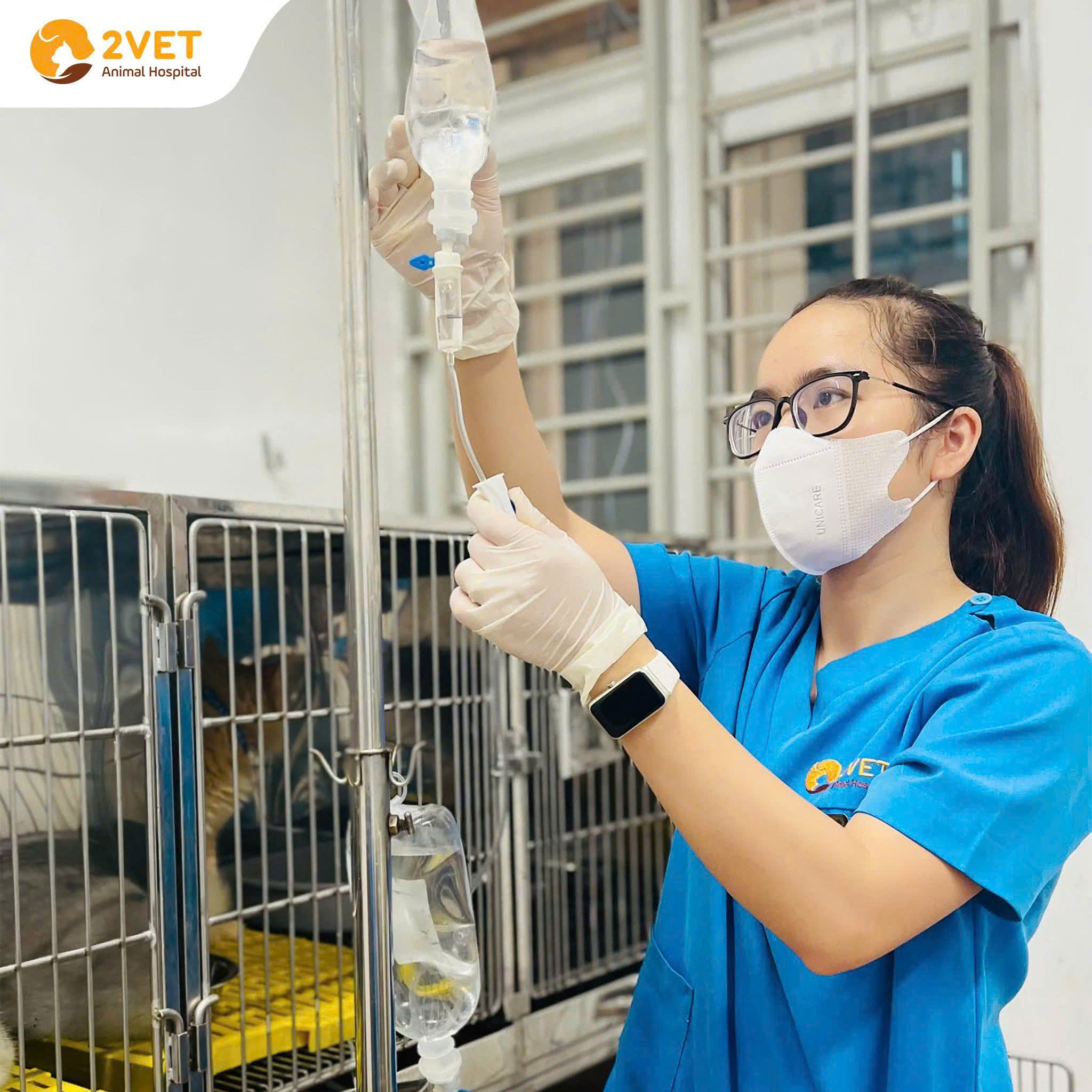 Cấp cứu thú cưng 24/7, cấp cứu thú cưng khẩn cấp