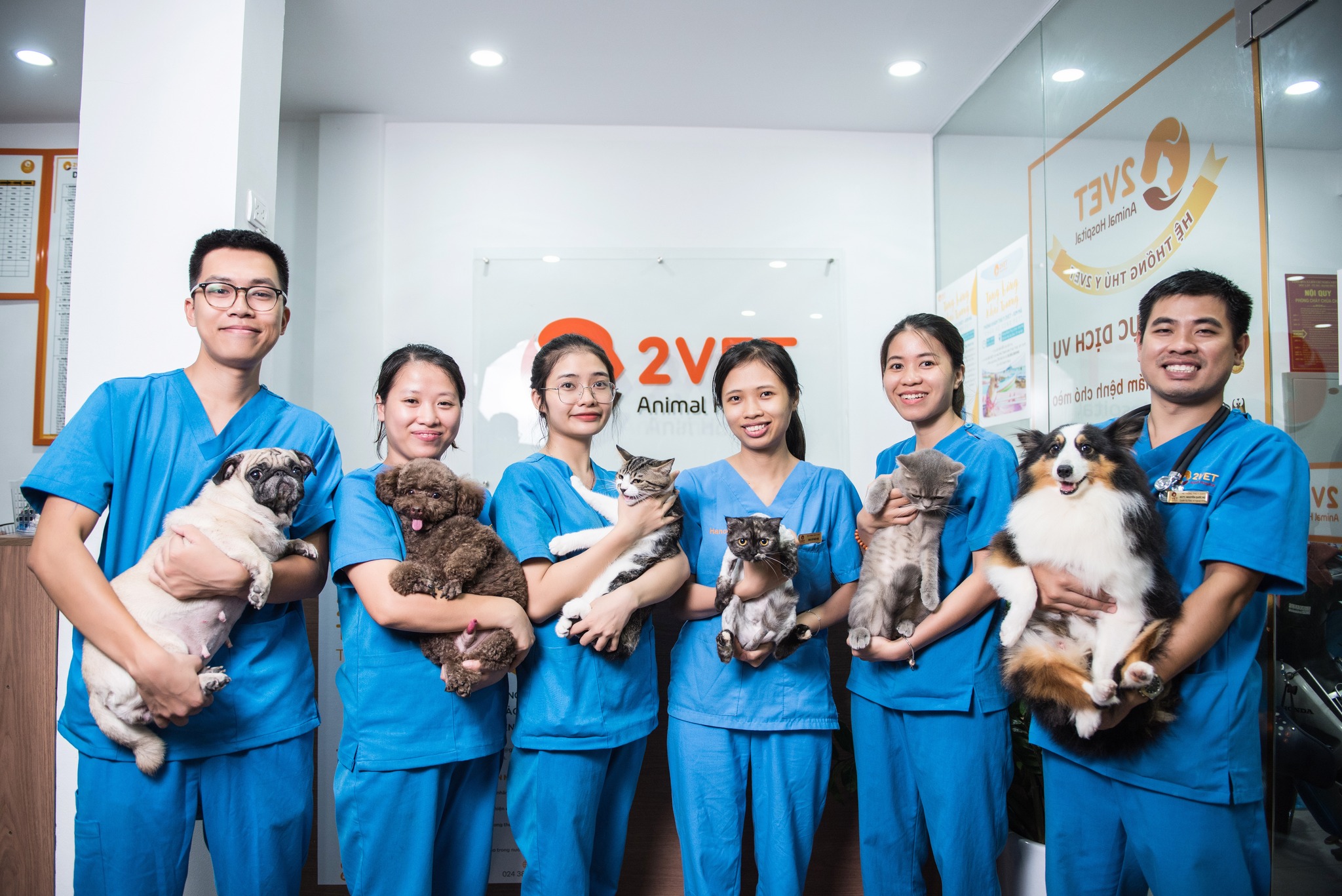 Dịch Vụ Tắm Spa Trọn Gói - Cạo Lông Chó Mèo tại Thú Y 2Vet Bình Thạnh