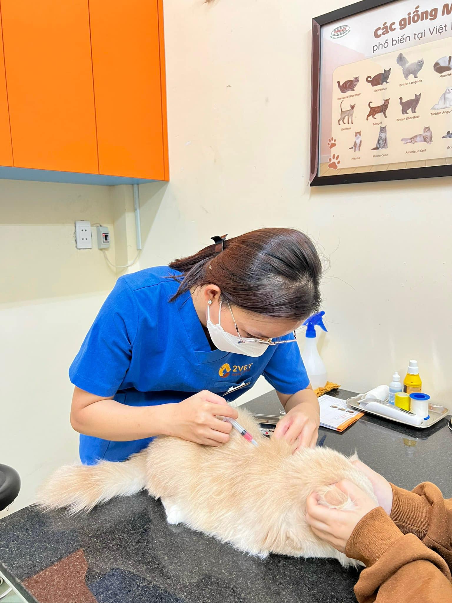 Tiêm phòng vaccine định kỳ thú cưng