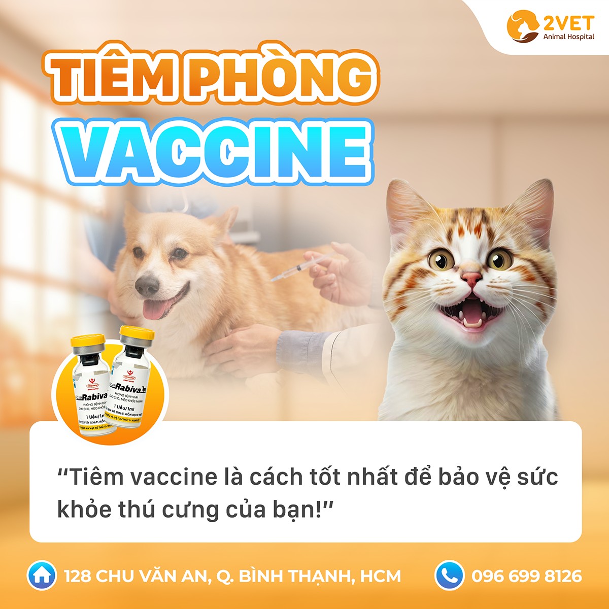 Tiêm phòng vaccine định kỳ thú cưng
