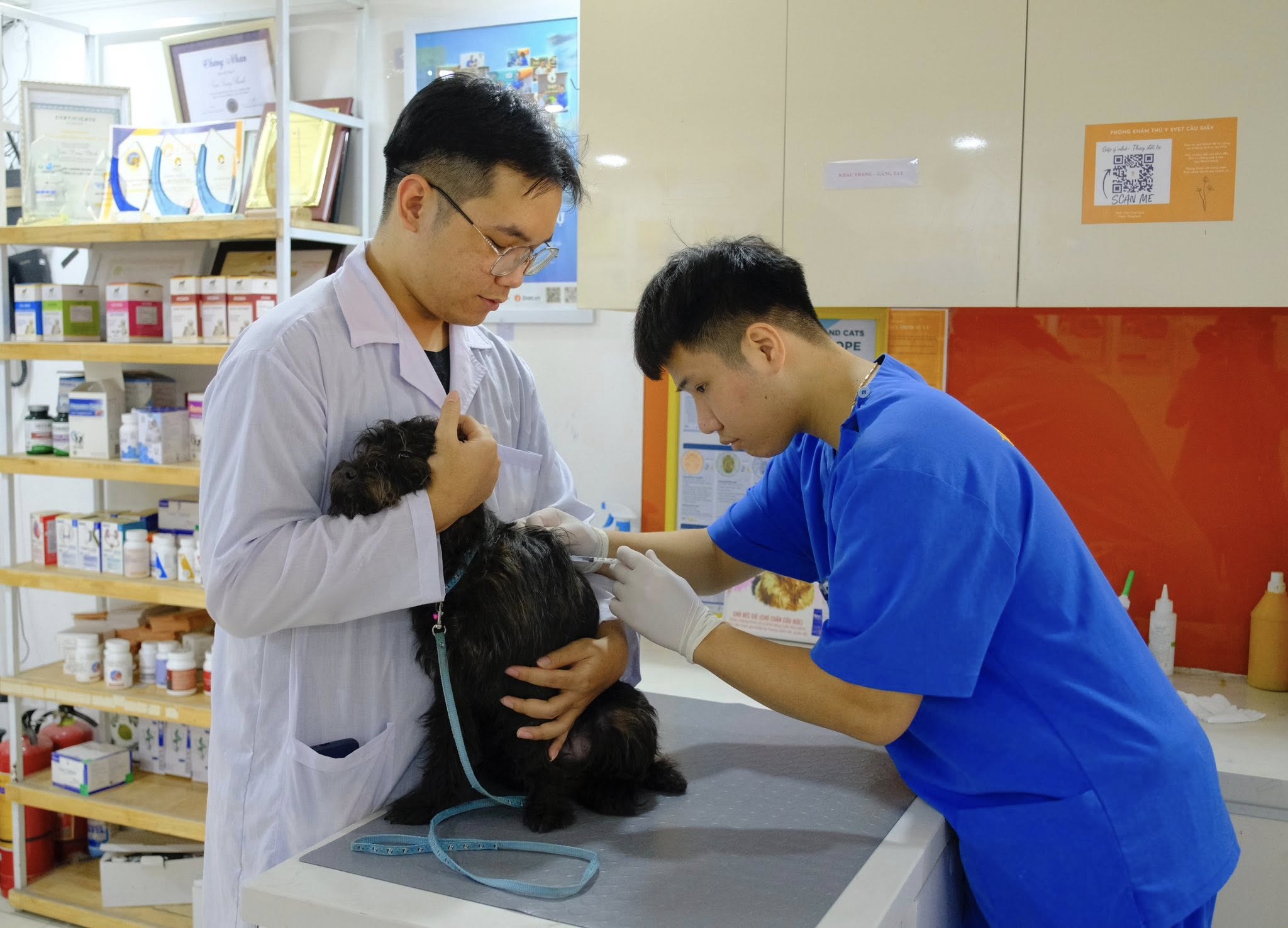 Tiêm phòng vaccine định kỳ thú cưng